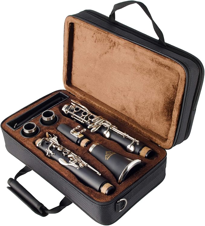 Beginner Clarinet with case