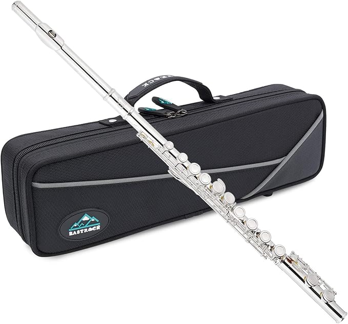 Beginner Flute with case