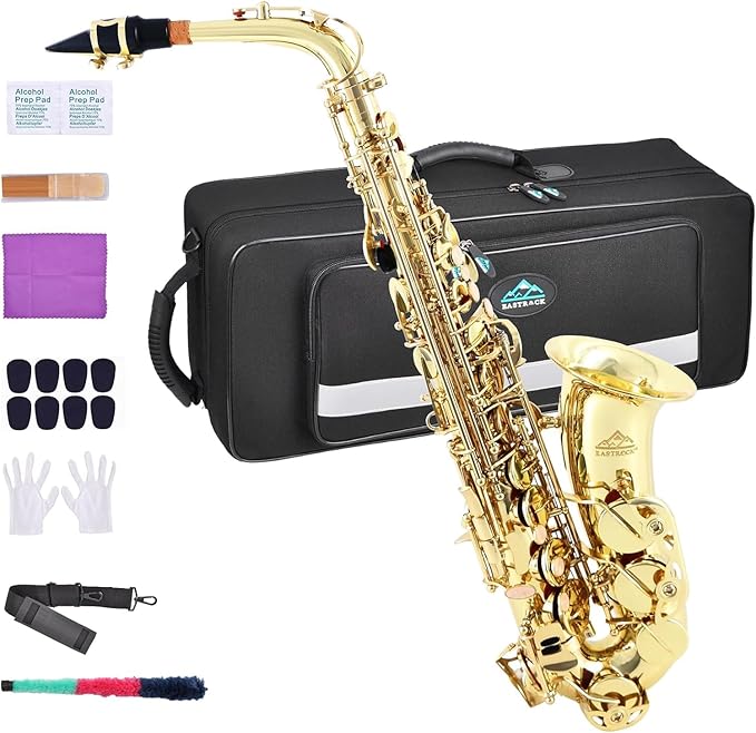 Beginner Saxophone with case